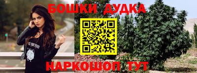 гидра Нарткала