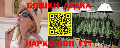 шишки Нальчик