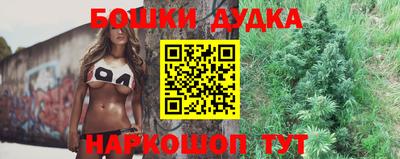 mdpv Новодвинск