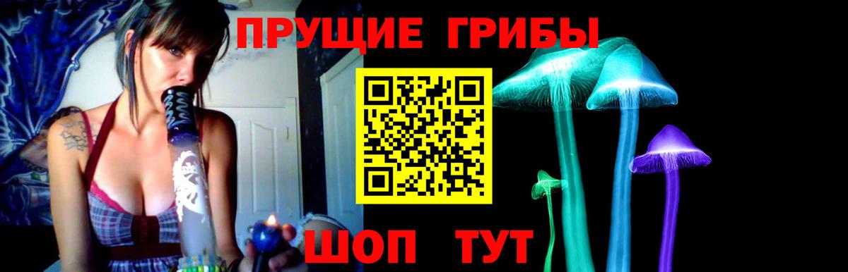дарнет шоп  Галлюциногенные грибы мухоморы  Вход с VPN  Северобайкальск 
