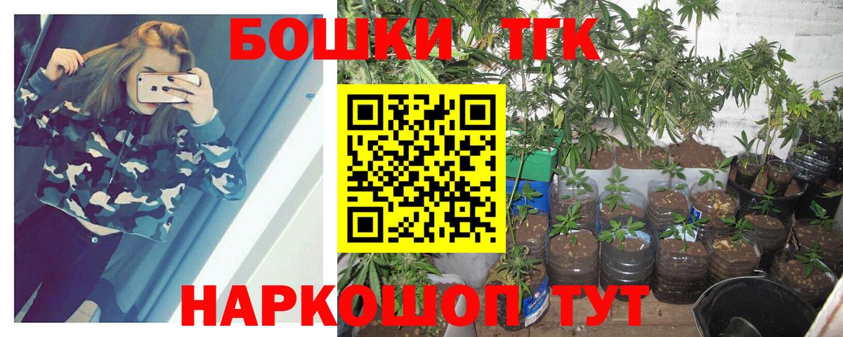 Бошки марихуана планчик  Бошки Шишки план  Вход с VPN  Марихуана сатива  Северобайкальск 